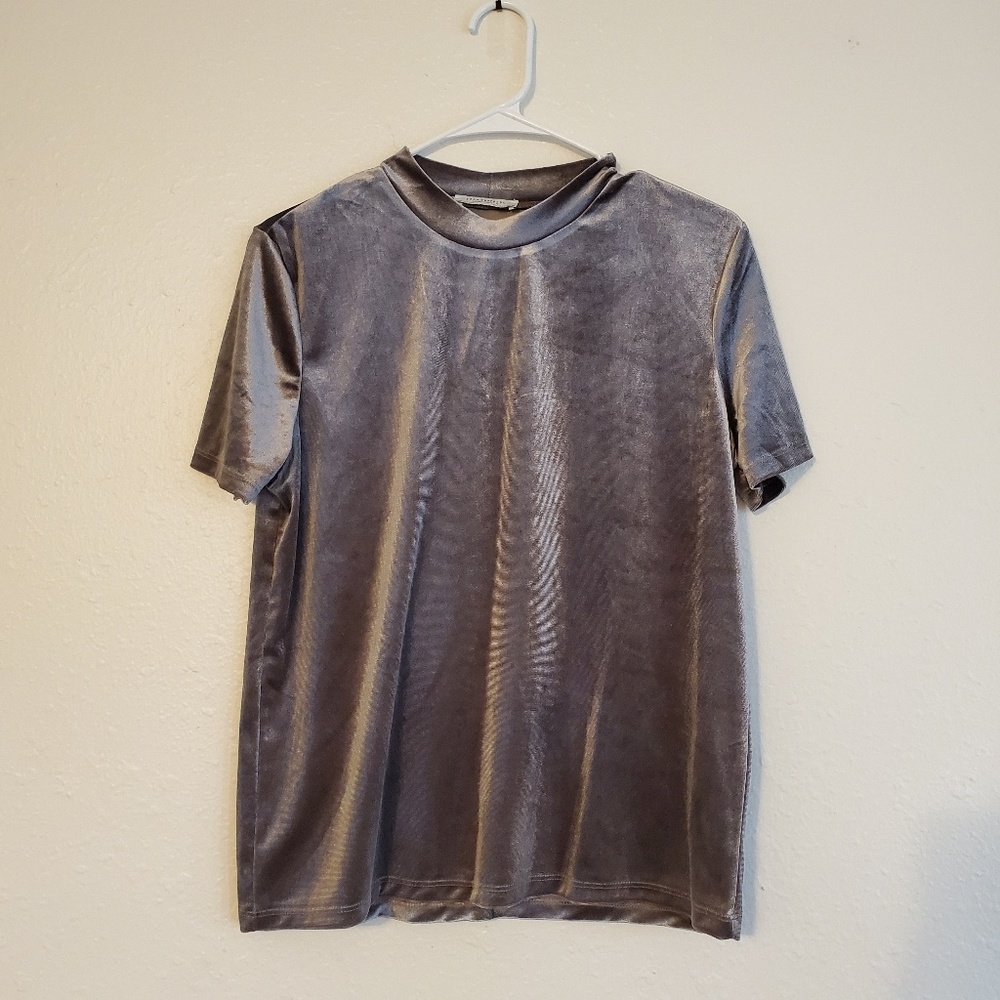 Zara Grey Velvet Short Sleeve Top